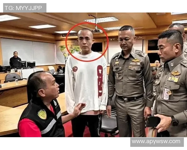 西安篮球队逆袭之路：从困境到崛起的精彩反击解析